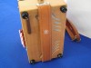 Castagnari Studio D-G button accordion